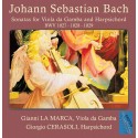 J.S. Bach: Viola da Gamba Sonata in G minor, BWV 1029